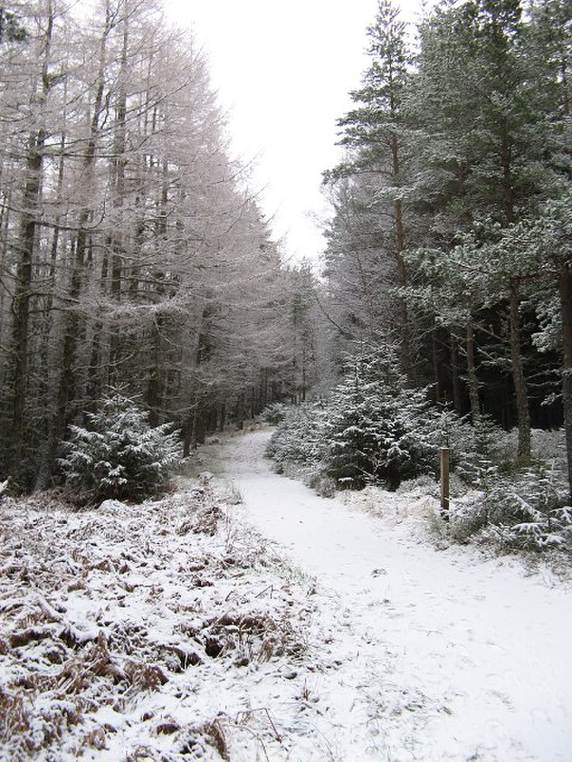 Roseisle Beach